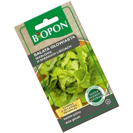 salata-maslowa-glowiasta-o-miekkich-lisciach-nasiona-1-g