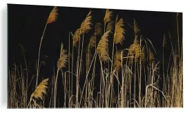 obraz-na-szkle-suche-trawy-natura-pole-laka-szklany-do-kuchni-120x60cm
