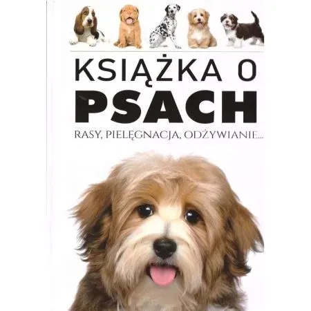 arti-ksiazka-o-psach-stan-nowy