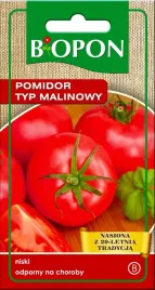 pomidor-malinowy-kujawski-biopon-02-g-odmiana-plenna-odporna-na-choroby