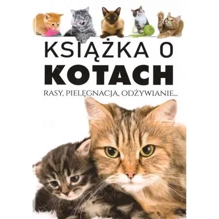 arti-ksiazka-o-kotach-stan-nowy