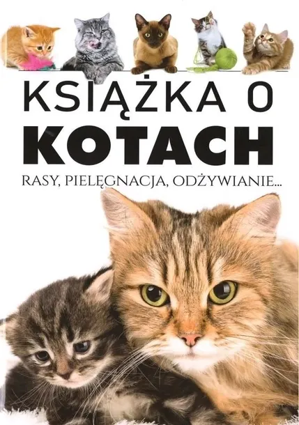 arti-ksiazka-o-kotach-stan-opakowania-oryginalne