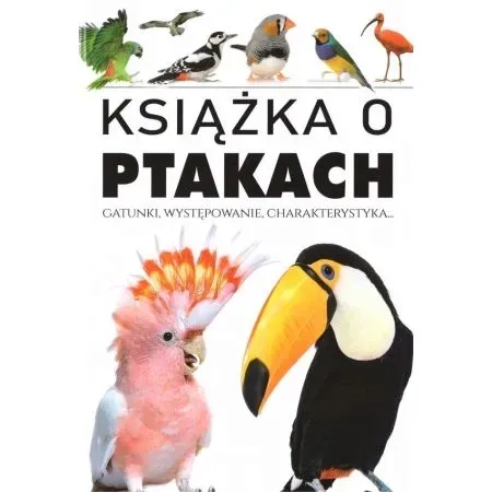 arti-ksiazka-o-ptakach-stan-nowy