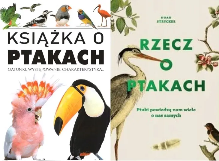 arti-ksiazka-o-ptakach-wydawnictwo-arti