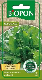 szczaw-belwilski-nasiona-2-g-wieloletni-odporny-na-mrozy