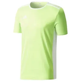 adidas-koszulka-entrada-18-zielony-t-shirt-r-xs