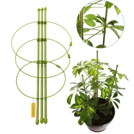 podpora-pierscieniowa-podporka-do-skrzydlokwiatow-monstery-hortensji-75cm