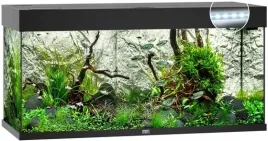 juwel-rio-180-led-akwarium-zestaw-akwariowy-w-kolorze-czarnym