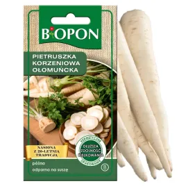 nasiona-pietruszka-korzeniowa-pozna-olomuncka-3-g