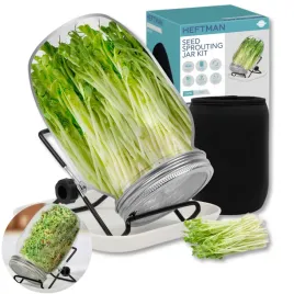 kielkownica-sloik-do-kielkowania-nasion-szklana-sloikowa-sloik-kielkow