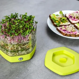 kielkownica-duza-3-poziomy-miseczki-na-kielki-do-hodowania-rzezuchy-17x16-z