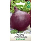 nasiona-cebuli-grenada-wegana-3-g-rodzaj-rosliny-cebula