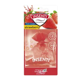 moje-auto-insenti-woreczek-zapachowy-odswiezacz-do-samochodu-truskawka-20g