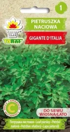 pietruszka-gigante-de-italia-nasiona-2-g