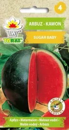 arbuz-kawon-sugar-baby-nasiona-arbuza-odporne