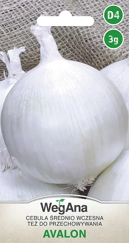 wegana-cebula-avalon-3g-rodzaj-rosliny-cebula