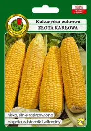 zlota-karlowata-nasiona-10-g-kukurydza-cukr-zlota