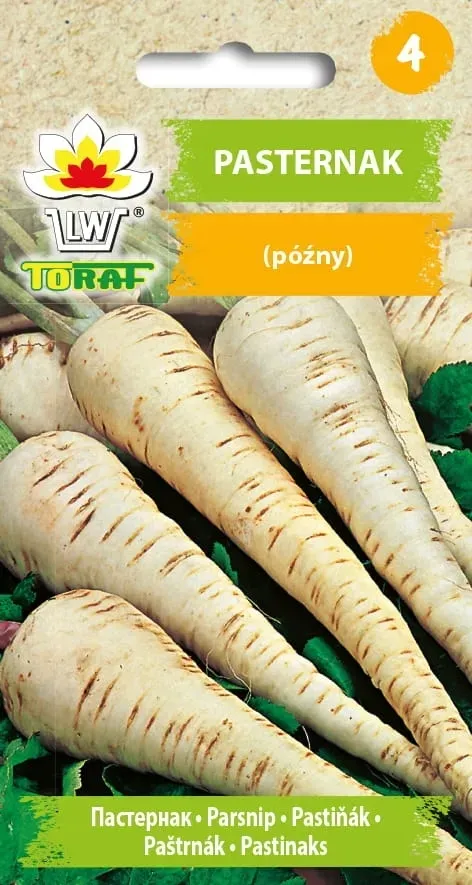 pasternak-nasiona-5-g