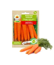 nasiona-warzyw-na-tasmie-marchew-srednio-wczesna-wysiew-do-czerwca-soczysta