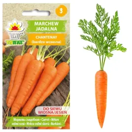 marchew-chantenay-bardzo-wczesna-nasiona-do-siewu-wiosna-jesien-5-g