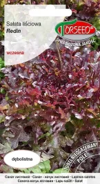 nasiona-salata-lisciowa-do-uprawy-w-polu-redin-05g-torseed