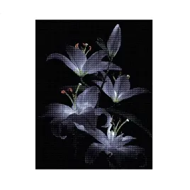 haft-diamentowy-diamond-30x40cm-kwiaty-dpx-01583