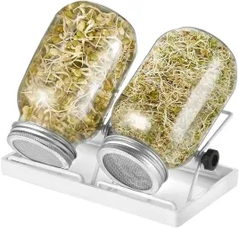 2x-kielkownica-sloikowa-kielkownik-sloik-do-kielkow-naczynie-nasiona-kielki