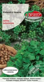 nasiona-kolendra-siewna-coriandrum-sativum-2g-torseed