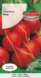 nasiona-rzodkiewka-rowa-5g-torseed-nasiona-rzodkiewki