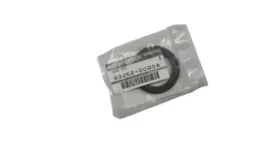 uszczelniacz-polosi-al4-dp0-lewy-duster-scenic-laguna-ii-kangoo-4325200q0a