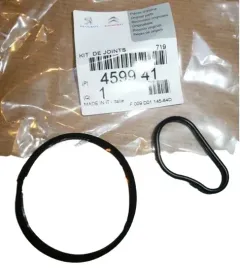 uszczelka-pompy-vacum-komplet-berlingo-c2-p206-1-6hdi-459941