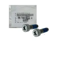 2x-sruba-jarzma-zacisku-peugeot-citroen-9678008680