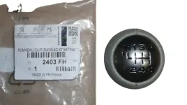 galka-zmiany-biegow-c3-p307-407-6-biegow-2403fh