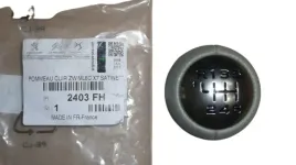 galka-zmiany-biegow-c3-p307-407-6-biegow-2403fh