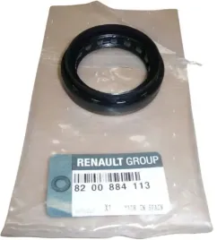 uszczelniacz-polosi-lewy-clio-scenic-laguna-iii-kangoo-duster-8200884113