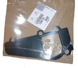 uszczelka-obudowy-termostatu-citroen-2-0hdi-134051