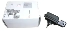 czujnik-poziomu-plynu-chlodnicy-c3-p308-1-6-1306j0