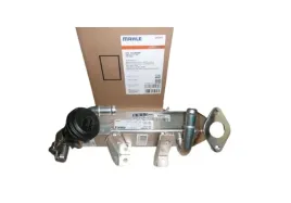 chlodnica-egr-master-23dci-8200910446-147350782r