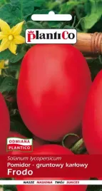 pomidory-frodo-lima-wczesny-plenny-miaz-itensywny-soki-nasiona-1-g