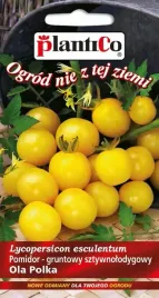 pomidory-ola-polka-karlowy-bardzo-wczesny-balkon-donniczek-nasiona-05-g