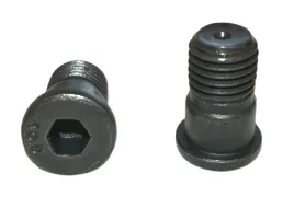 textar-sruby-tarczy-hamulcowej-m10x125-or-2szt