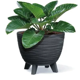 doniczka-na-nozkach-stabilna-duza-do-bonsai-misa-40-cm-okragla-dfur400