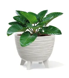 doniczka-na-nozkach-do-bonsai-duza-okragla-misa-40-cm-odplyw-wody-dfur400