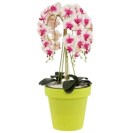 doniczka-limonka-okragla-oslonka-klasyk-gladka-mat-o-35cm-tworzywo-sztuczne