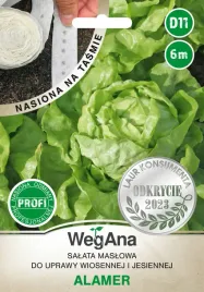 salata-maslowa-alamer-sr-wczesna-6m-calosezonowa-nasiona-na-tasmie-wegana