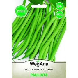 fasola-szparagowa-zielona-karlowa-paulista-40g-nasiona-wegana