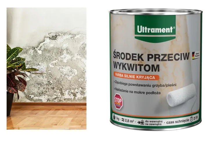 Ultrament Środek Przeciw Wykwitom na Ścianie – Farba Przeciw Pleśni 1kg