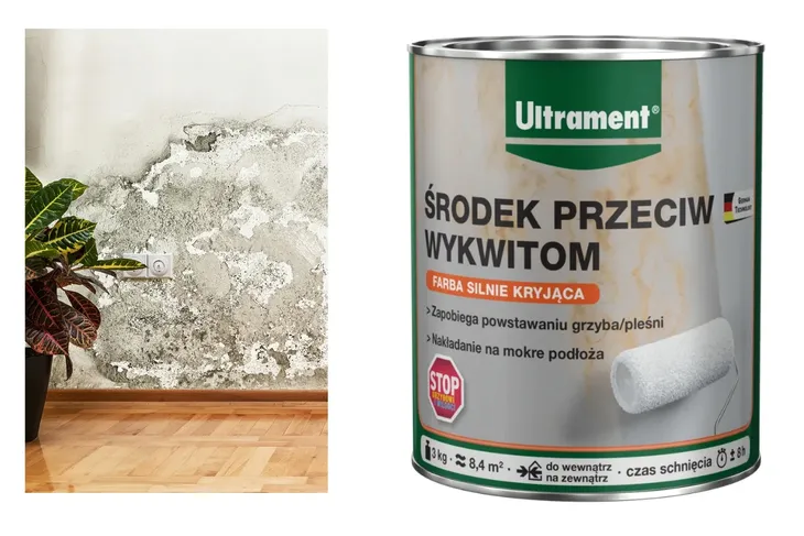 Ultrament Środek Przeciw Wykwitom na Ścianie – Farba Przeciw Pleśni 3 kg