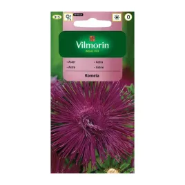 aster-chinski-igielkowy-kometa-05g-wisniowo-wrzosowy-vilmorin