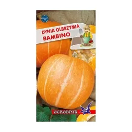 dynia-olbrzymia-bambino-nasiona-3g-o